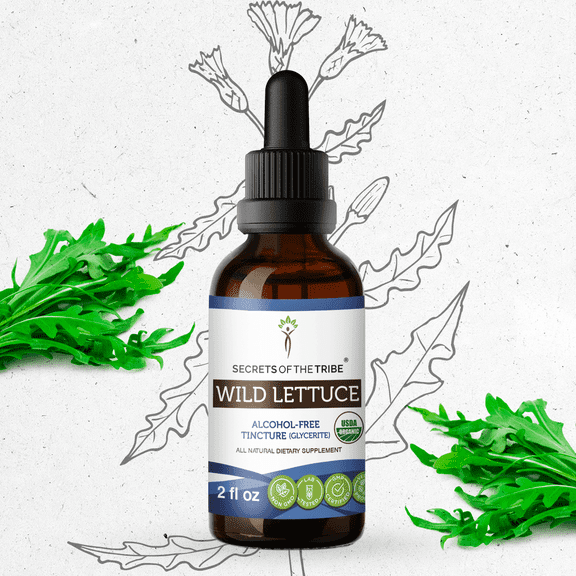 Secrets Of The Tribe Wild Lettuce Organic Tincture Dietary Supplement, Natural Herbal Extract for Calm Support, Certified Organic Wild Lettuce (Lactuca virosa) Dried Herb, Alcohol-Free Extract, 2 oz