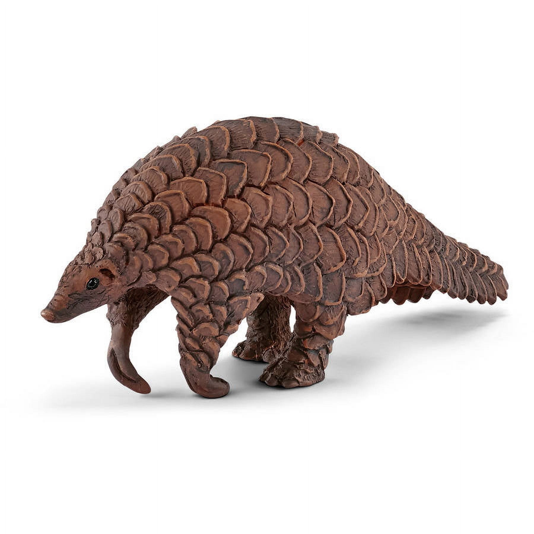1536x2048px | free download | HD wallpaper: pangolin, walking, sand,  Animal, animal themes, animals in the wild | Wallpaper Flare
