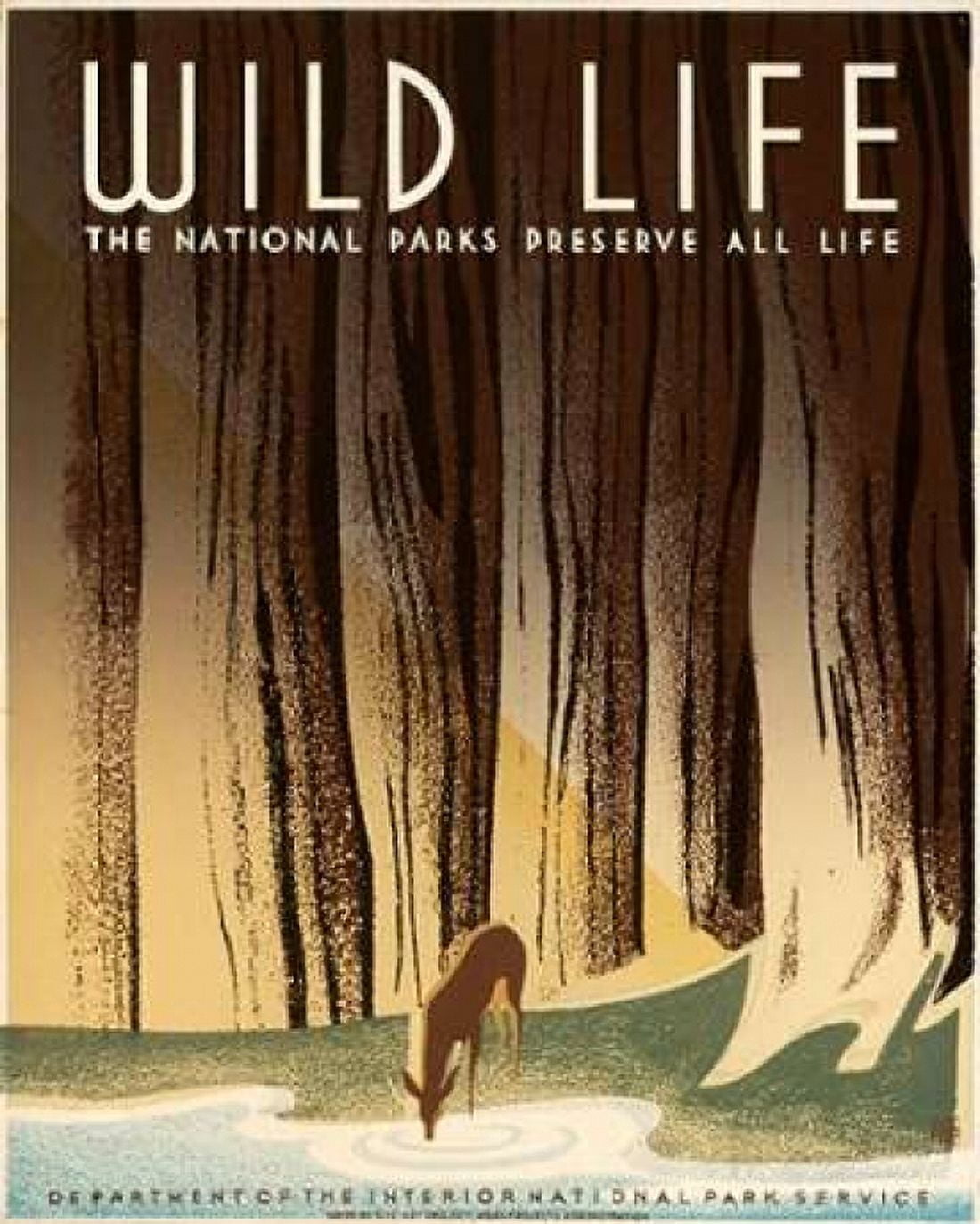Wild Life The National Parks Preserve All Life ca 1936-1940 Canvas Art - Frank S Nicholson (24 x 30)