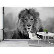 Wild Lion Wallpaper, Lion Paper Art, Wild Animal Wall Decor, Animal Wall Decor, 3D Paper Wall Art, Self Adhesive Paper, Room Wall Decor, Wallpaper (Fabric Non-Woven)