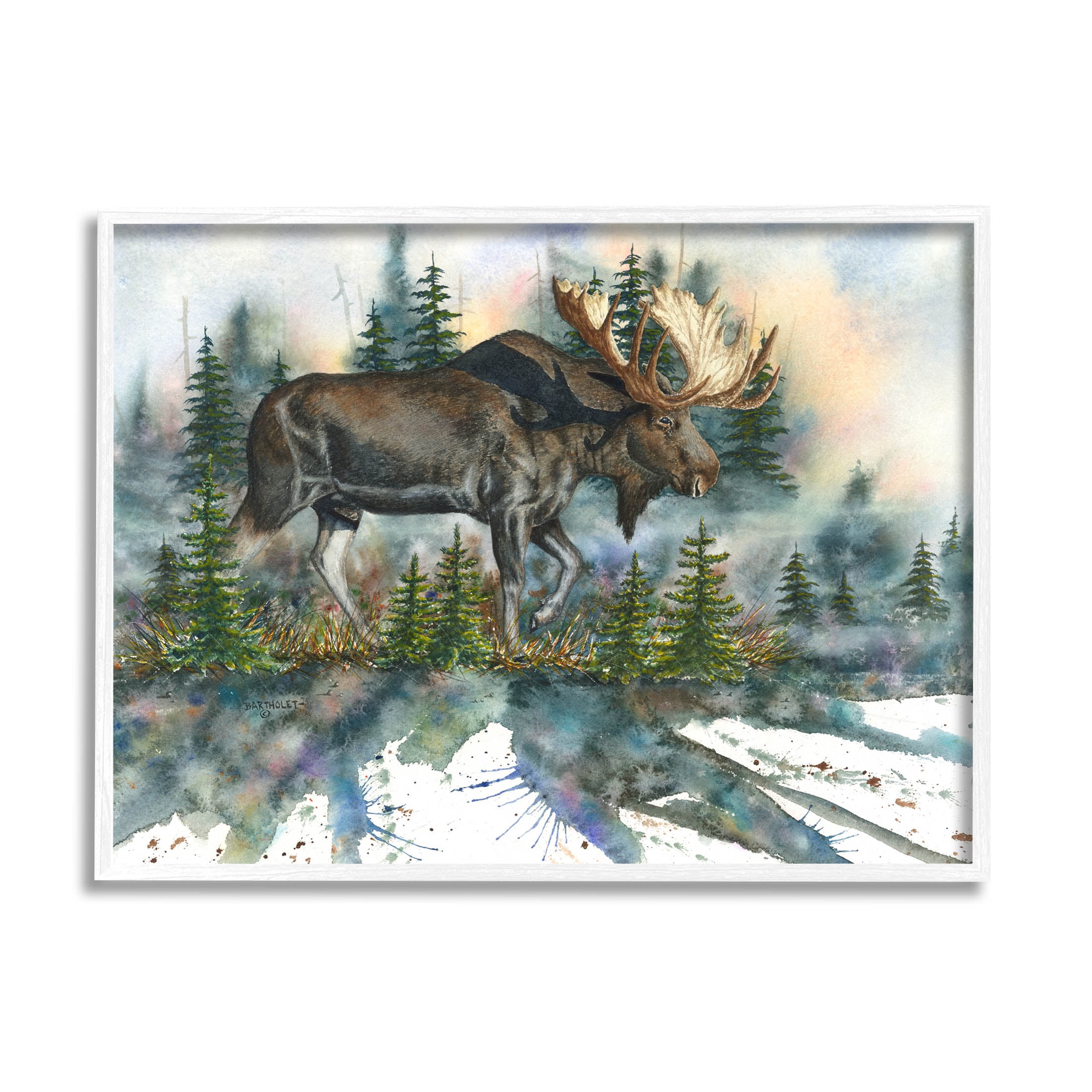 Wild Moose Forest Nature Scene Animals & Insects Graphic Art White Framed Art Print Wall Art