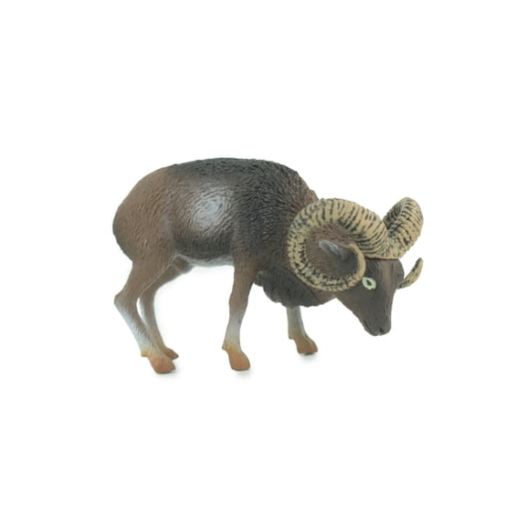 Wild Mountain Sheep, Argali, Museum Quality, Educational, Hand Painted, Rubber Animal, Realistic, Diorama, Toy, Kids, Gift, 3 1/2 Inches. CH828 BB194