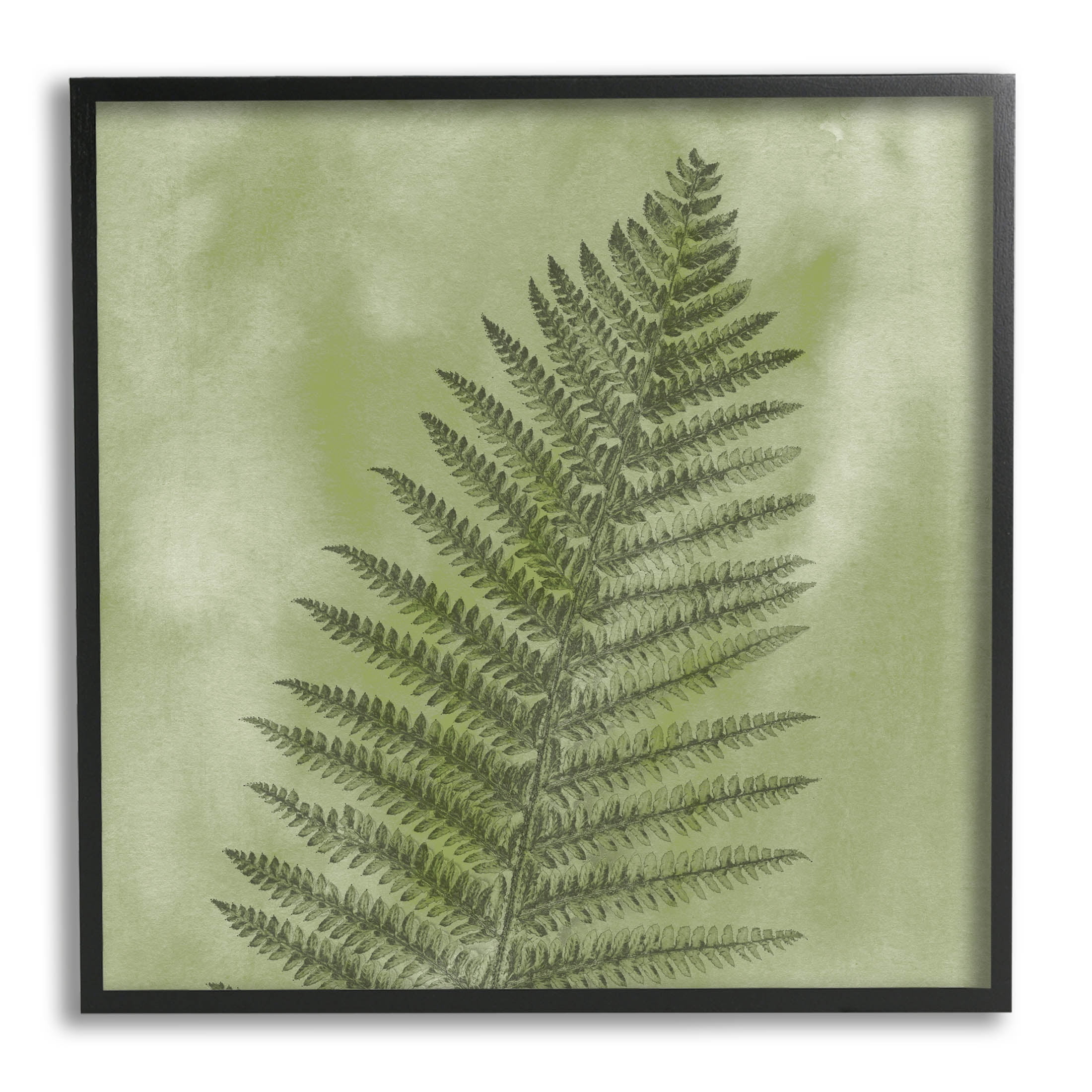 Wild Nature Fern Leaf Botanical & Floral Graphic Art Black Framed Art Print Wall Art
