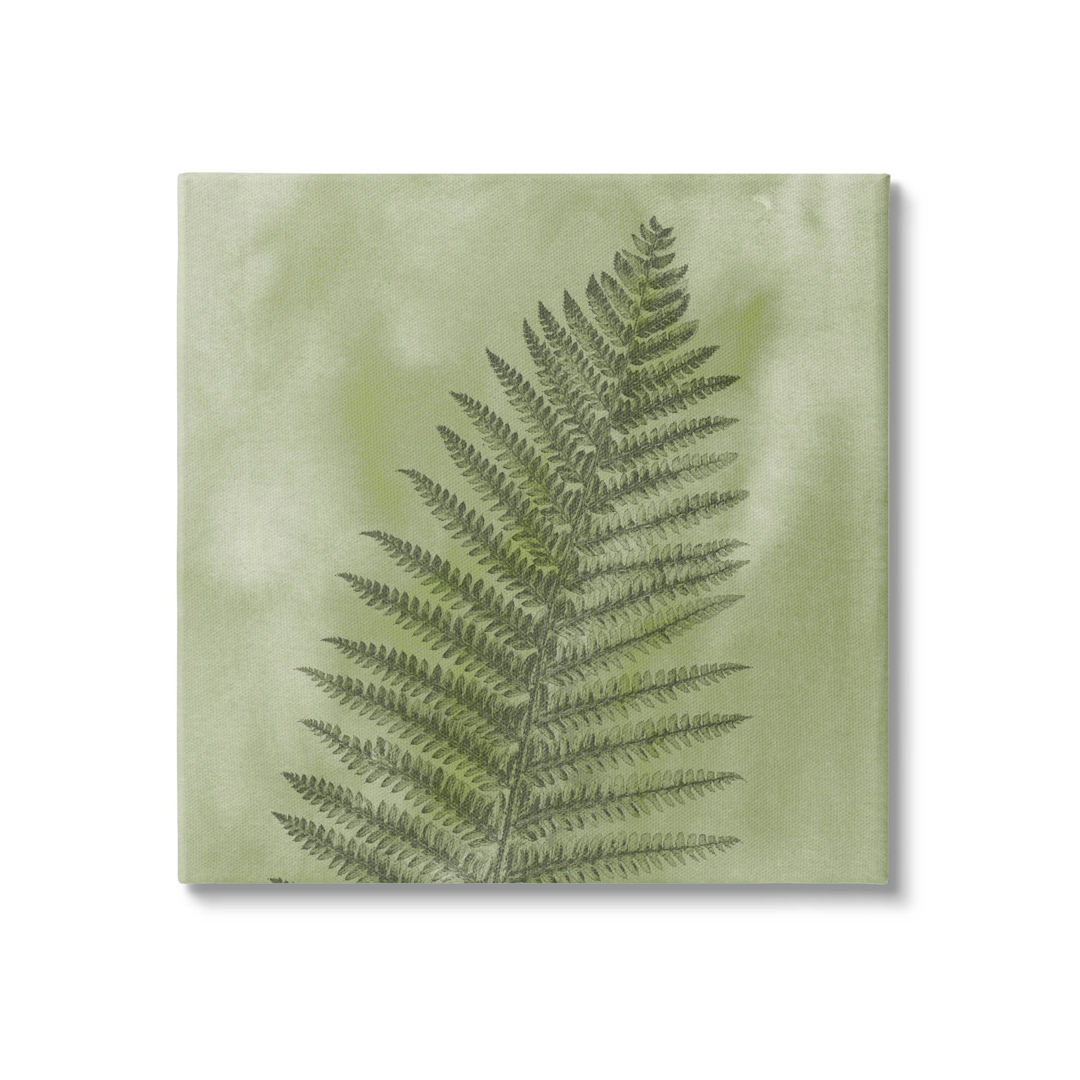 Wild Nature Fern Leaf Botanical & Floral Graphic Art Gallery Wrapped Canvas Print Wall Art