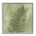 thumbnail image 1 of Wild Nature Fern Leaf Botanical & Floral Graphic Art Gray Framed Art Print Wall Art, 1 of 7
