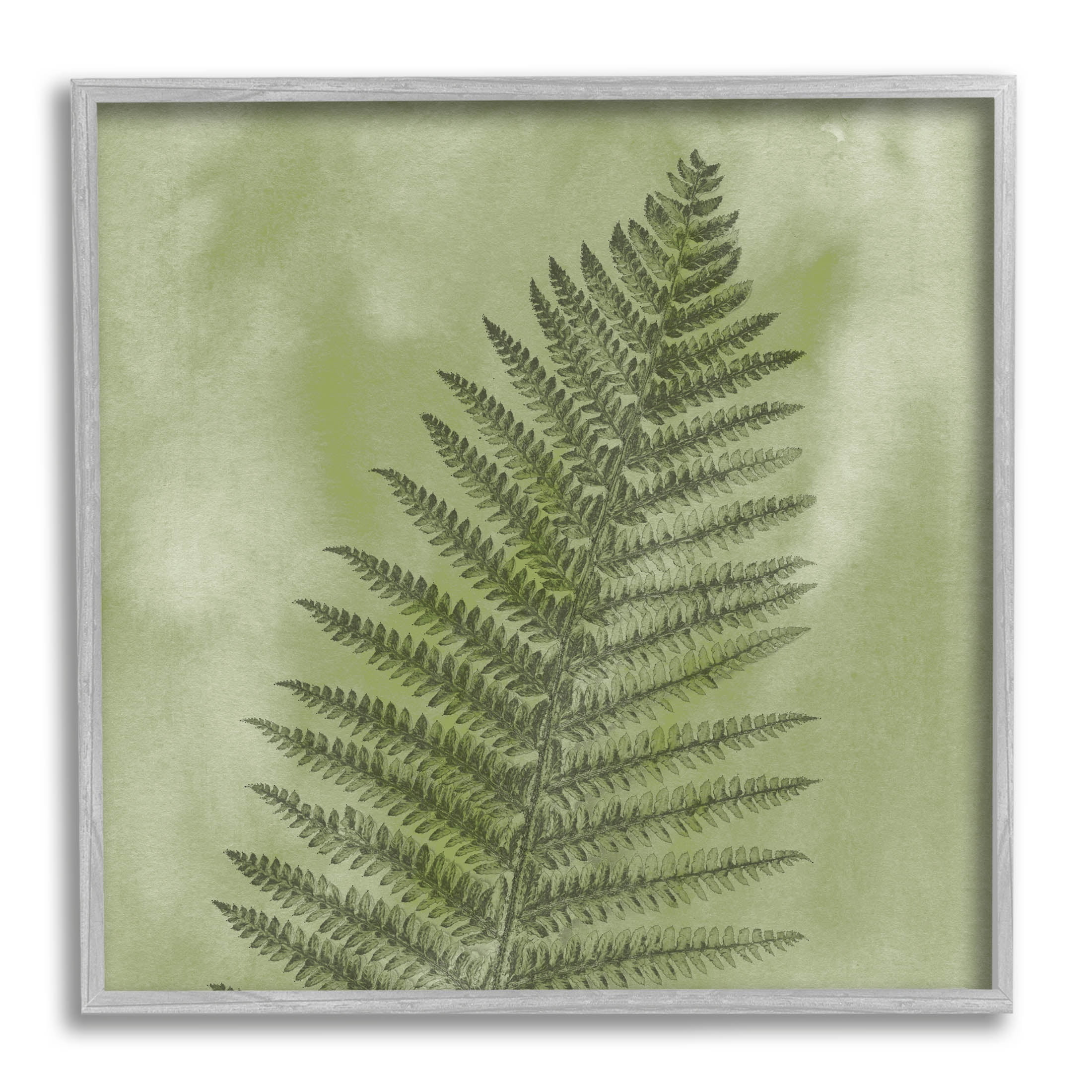 Wild Nature Fern Leaf Botanical & Floral Graphic Art Gray Framed Art Print Wall Art
