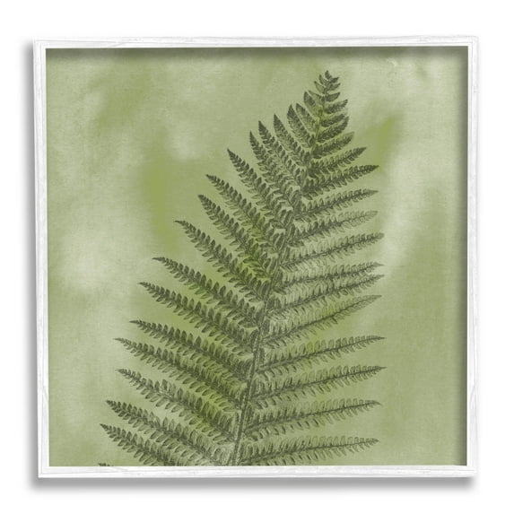 Wild Nature Fern Leaf Botanical & Floral Graphic Art White Framed Art Print Wall Art