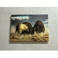 thumbnail image 1 of Wild Nature Poster, American Animal Wall Decor, Bison Battle Art Canvas, American Buffalo Artwork, Fashion Canvas Art, Canvas Wall Decor - 5P Mix-Gallery Wrap, 1 of 9