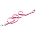 thumbnail image 1 of Wild One 6ft Heavy Duty Lightweight Nylon Dog Leash, Bubblegum Pink Colorblock, 1 of 9