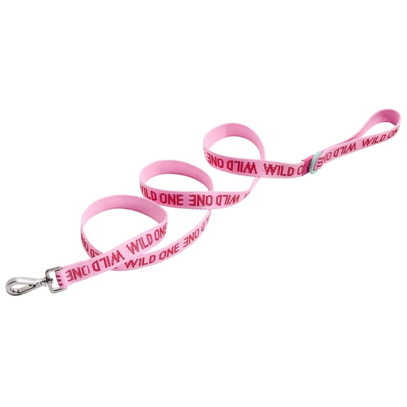 Wild One 6ft Heavy Duty Lightweight Nylon Dog Leash, Bubblegum Pink Colorblock