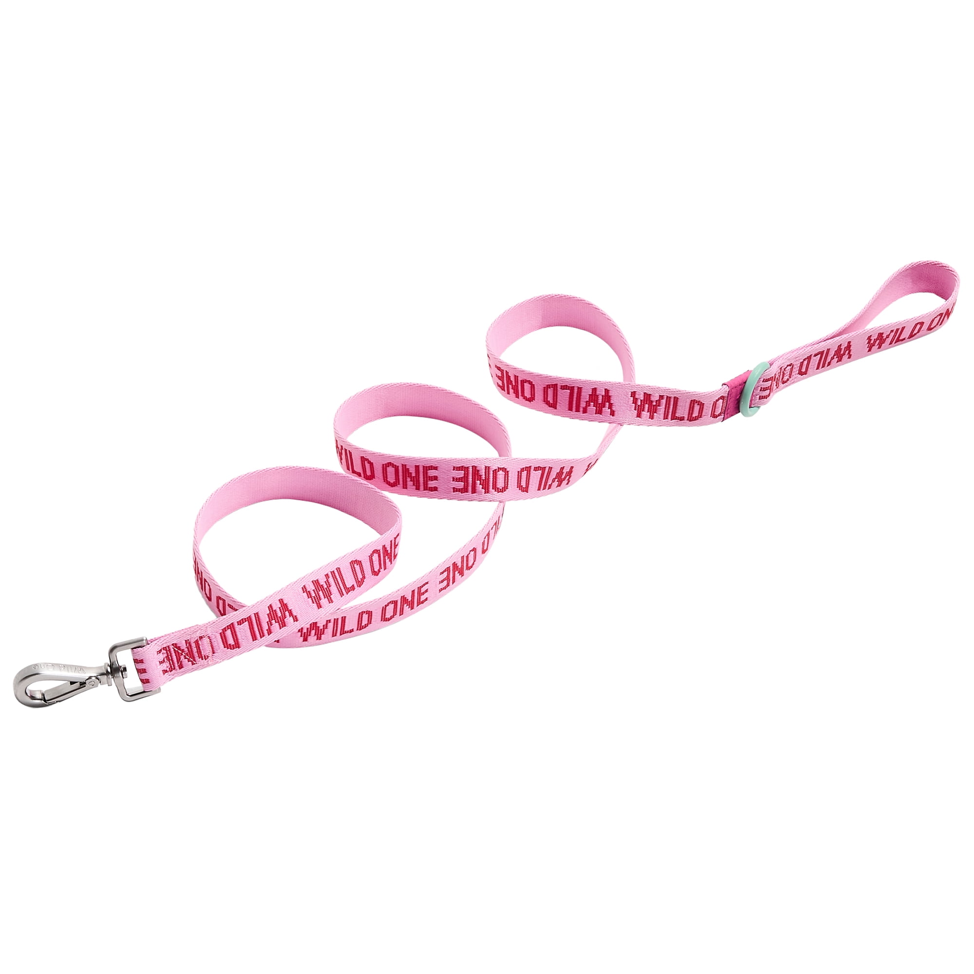 Wild One 6ft Heavy Duty Lightweight Nylon Dog Leash, Bubblegum Pink Colorblock