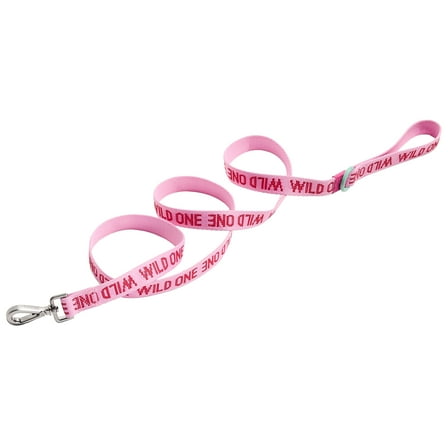 Wild One 6ft Heavy Duty Lightweight Nylon Dog Leash, Bubblegum Pink Colorblock