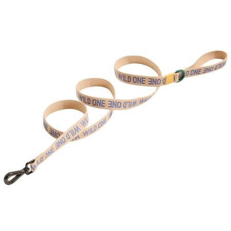 Wild One 6ft Heavy Duty Lightweight Nylon Dog Leash, Retro Tan Colorblock