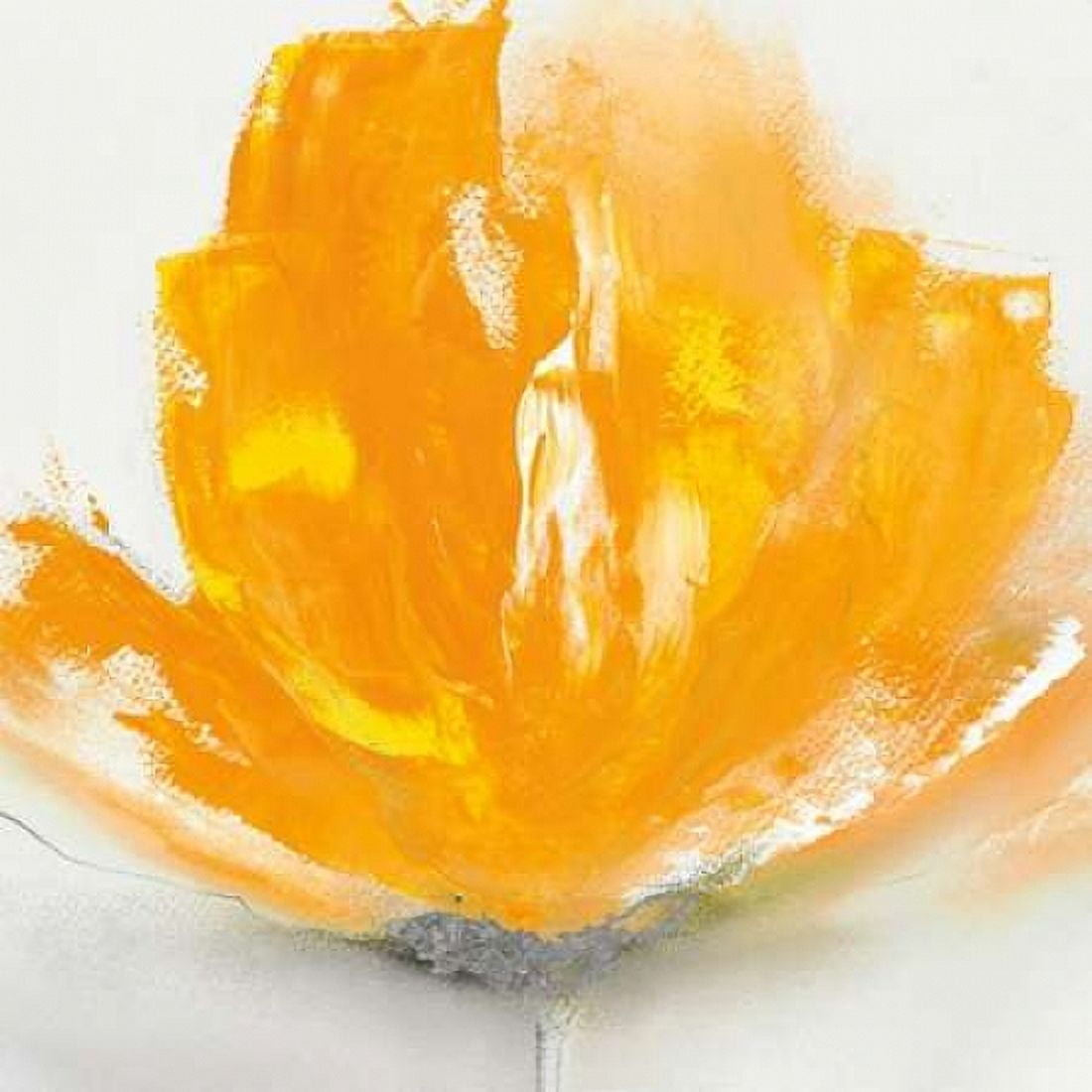 Wild Orange Sherbet I Canvas Art - JP Prior (24 x 24)