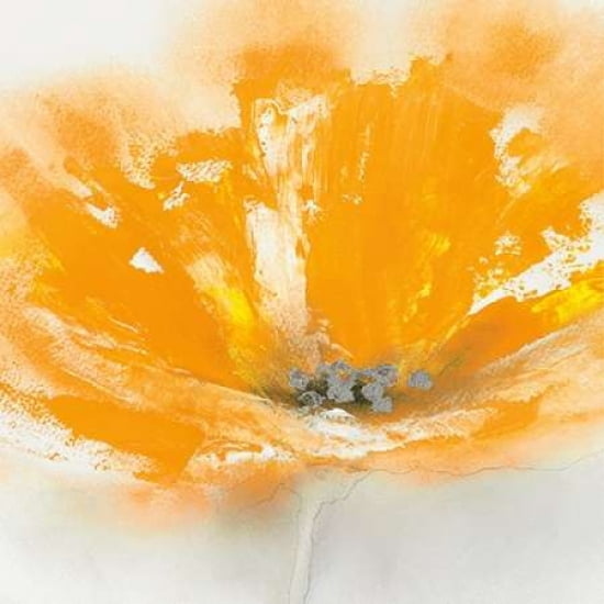 Wild Orange Sherbet II Canvas Art - JP Prior (24 x 24)