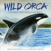 Wild Orca: The Oldest, Wisest Whale in the World (Hardcover)
