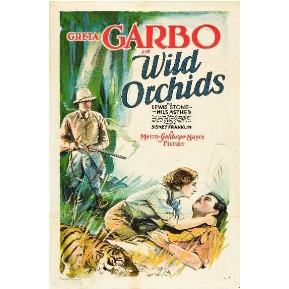 Wild Orchids Poster 16x24 Poster Medium Art Poster 16x24 Unframed, Age: Adults Western Graphic