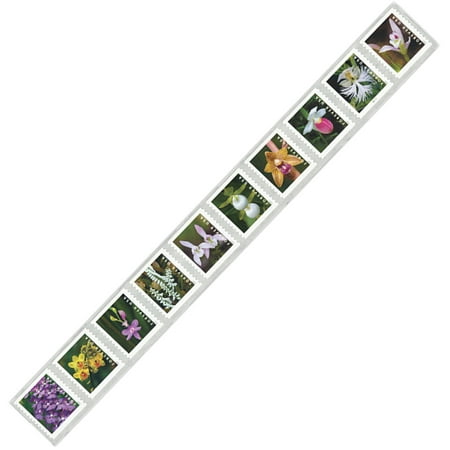 Wild Orchids USPS Forever Postage Stamp Strip of 10 US First Class Postal Flower Birthday Anniversary Wedding Celebration (10 Stamps) price history and forecast - USPS Forever