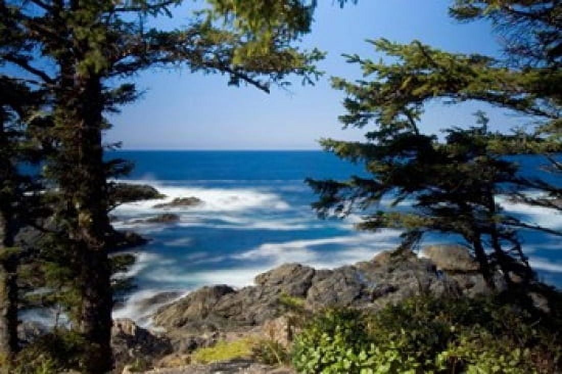 Wild Pacific Trail Vancouver Island British Columbia Canvas Art - Paul Colangelo DanitaDelimont (26 x 17)