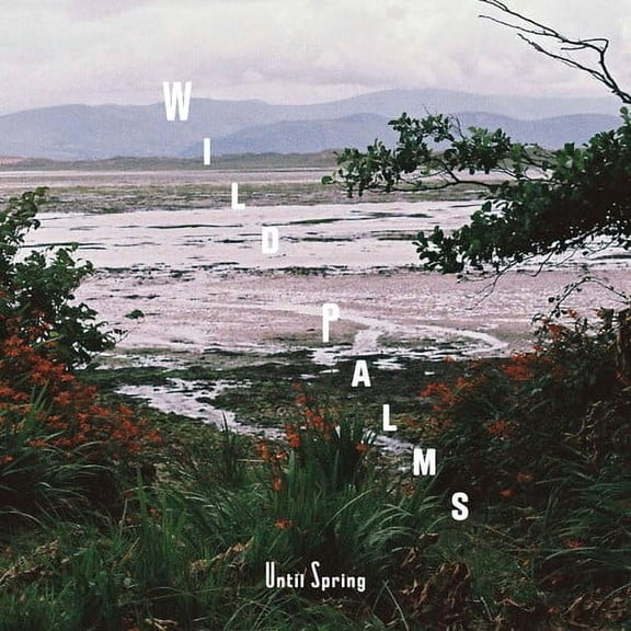 Wild Palms - Love Me For Who I Am - Electronica - CD