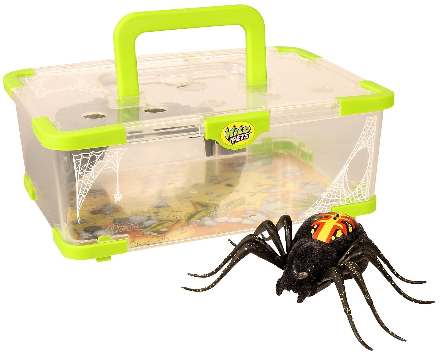 Spider on sale habitat toy