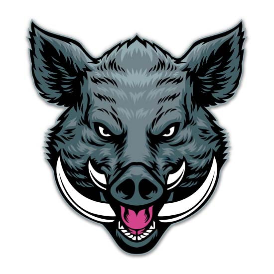 Wild Pig - 3" Vinyl Sticker - For Car Laptop Water Bottle Phone - Waterproof Decal