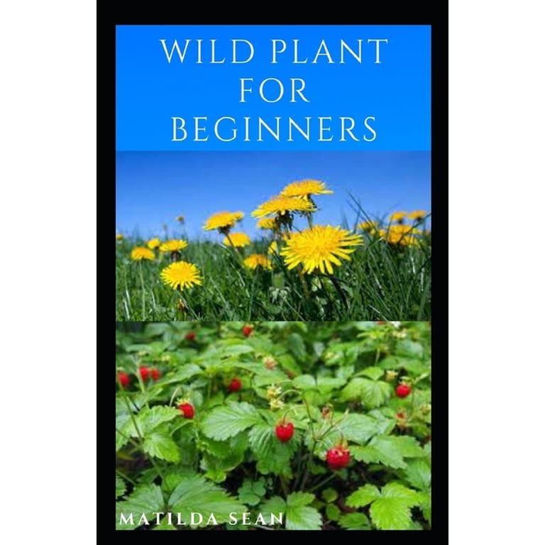 Wild Plant for Beginners: A book guide on how to ethically plant, identify,  harvest, prepare, eat and preserve wild plan, (Paperback)
