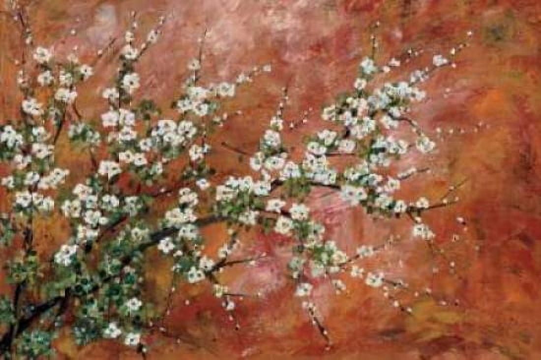 Wild Plum Blossoms Canvas Art - Zachary Alexander (12 x 18)