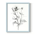 thumbnail image 1 of Wild Poppy Sketch Framed Print in Blue Solid Wood 11 x 14 Framed Print, 1 of 6