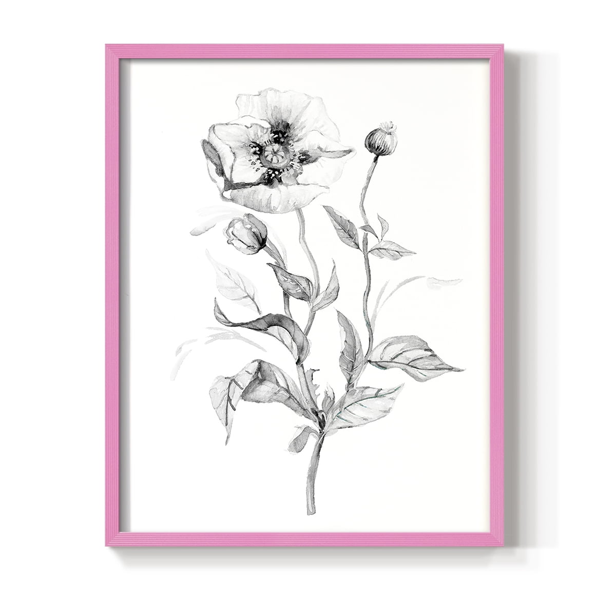 Wild Poppy Sketch Framed Print in Pink Solid Wood 8 x 10 Framed Print