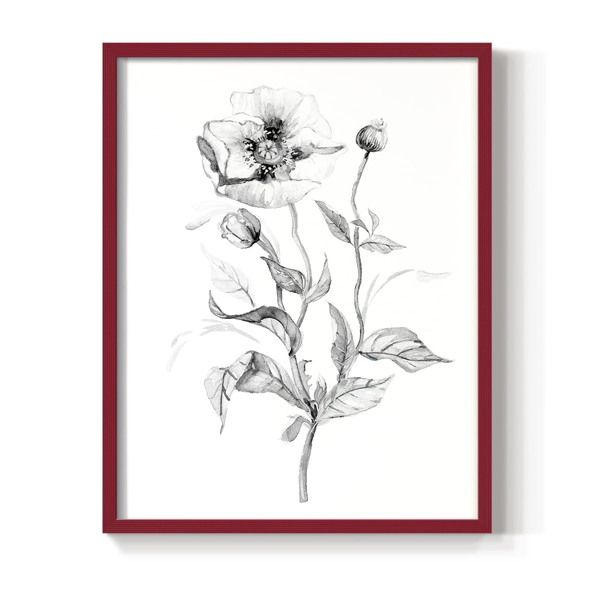 Wild Poppy Sketch Framed Print in Red Solid Wood 8 x 10 Framed Print