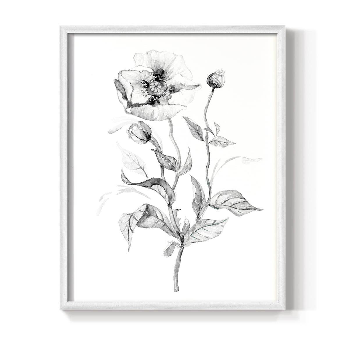 Wild Poppy Sketch Framed Print in White Solid Wood 11 x 14 Framed Print