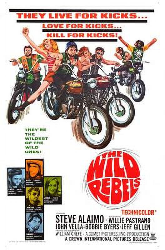 Wild Rebels The Movie Poster 27inx40in for any room 27x40 Multi-Color ...
