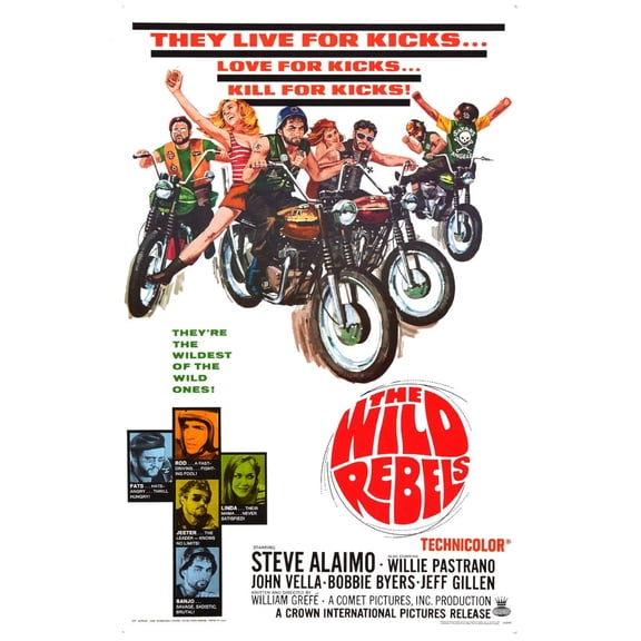 Wild Rebels poster Metal Sign 8inx 12in Art Print on Metal 8x12 Multi-Color Square Adults Z Posters
