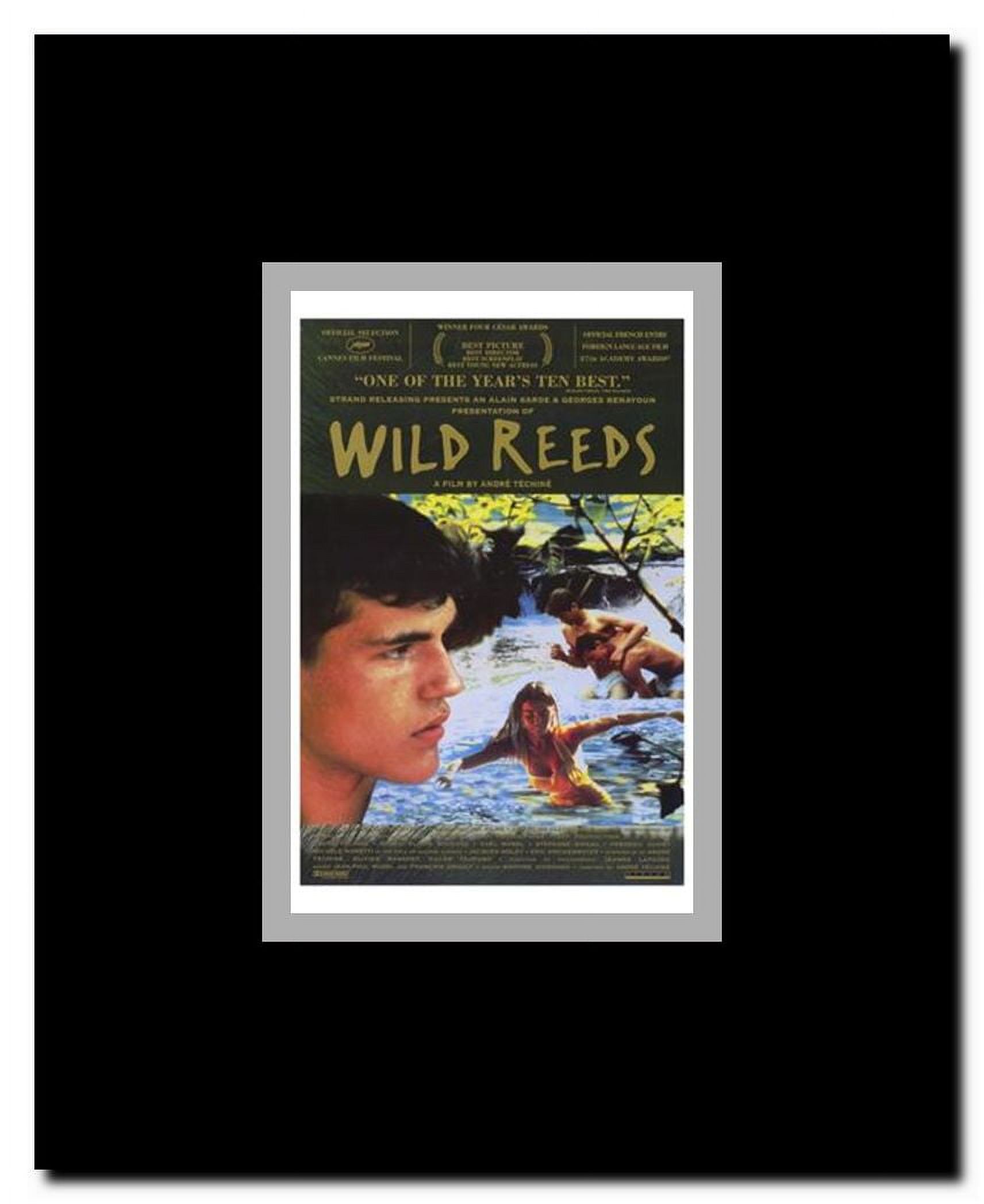 Wild Reeds Framed Movie Poster