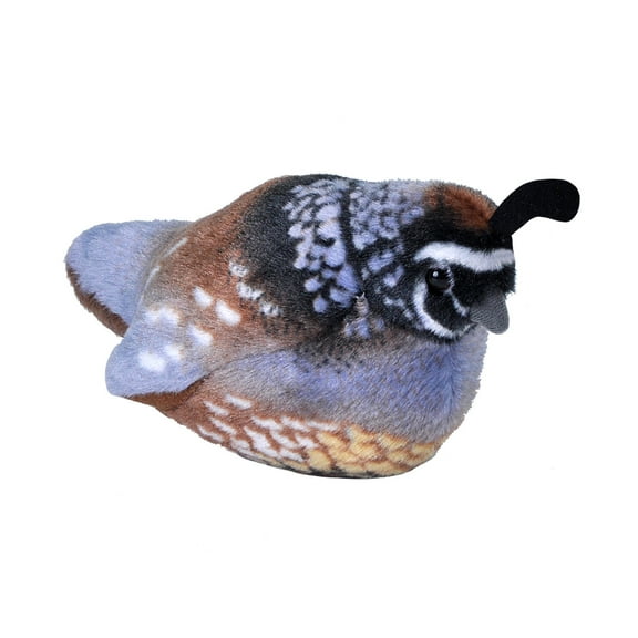 Wild Republic Audubon Bird California Quail Stuffed Animal, 5.5 Inches