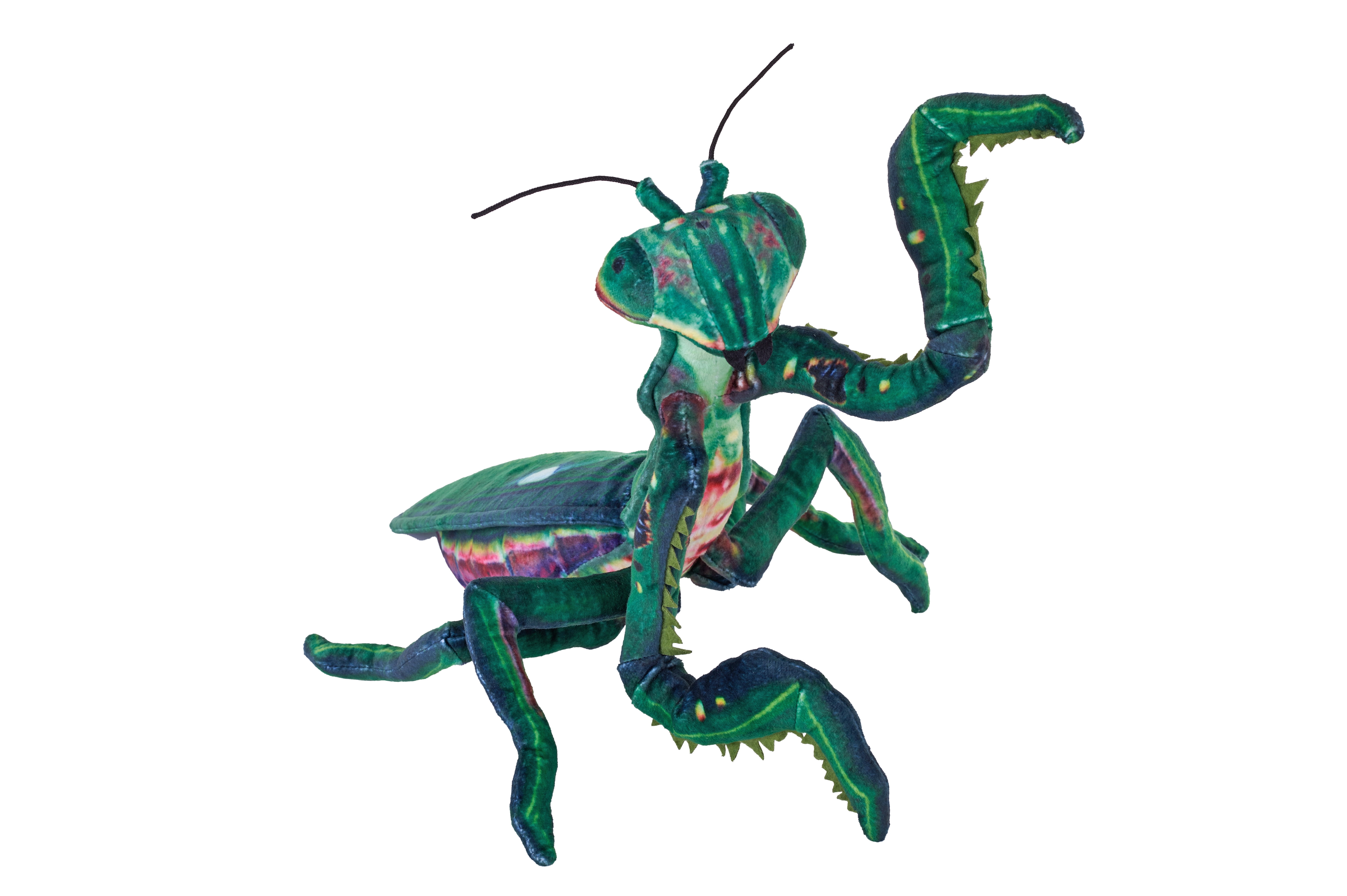 Pray Mantis Toy