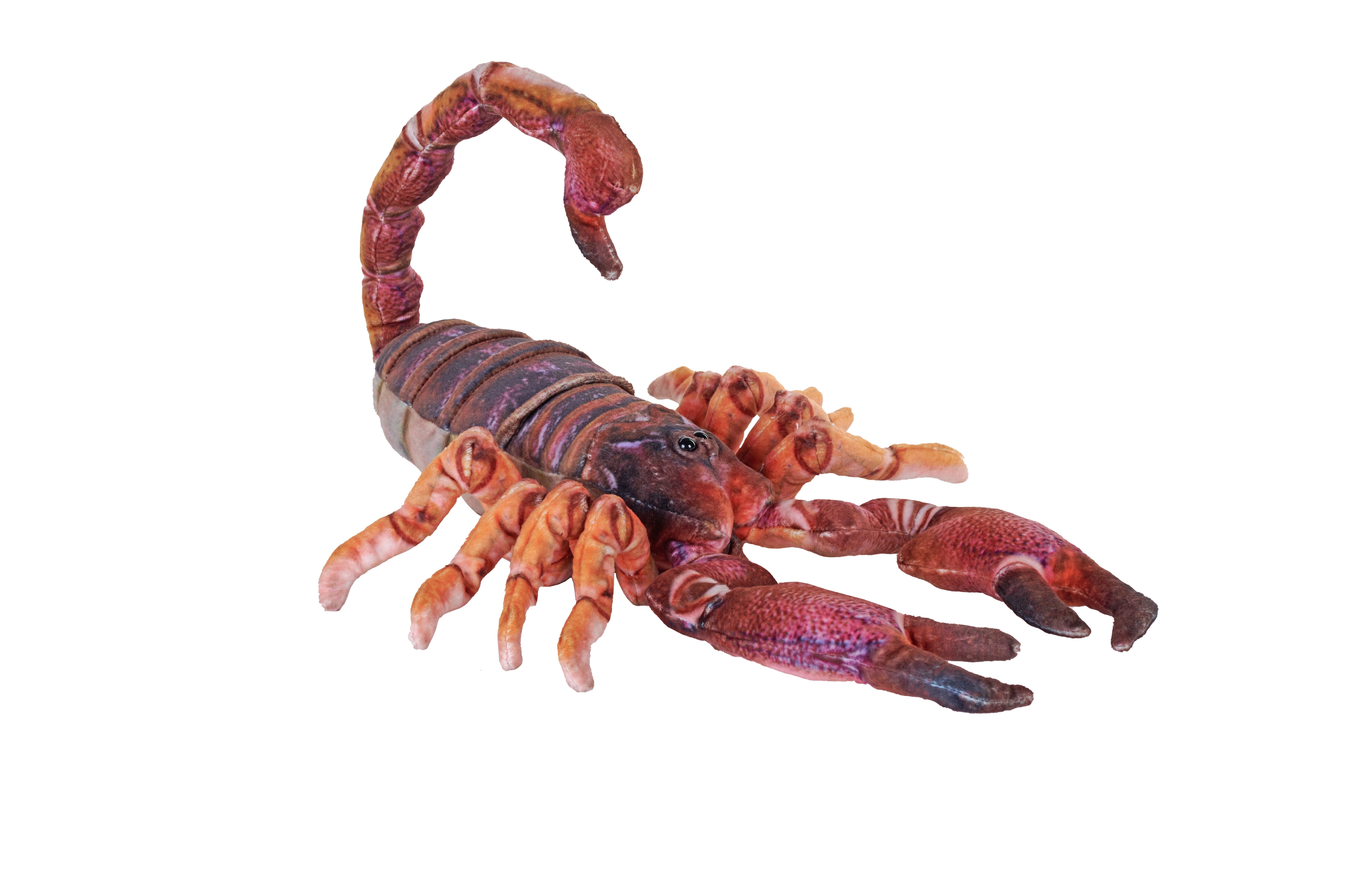 Wild Republic Living Earth Scorpion, Stuffed Animal, 25 inch, Plush Toy, Fill is Spun Recycled Water Bottles