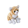 thumbnail image 1 of Wild Republic Pocketkins Eco Orange Tabby Cat, Stuffed Animal, 5 Inches, Plush Toy, Made from Recycled Materials, Eco Friendly, 1 of 1