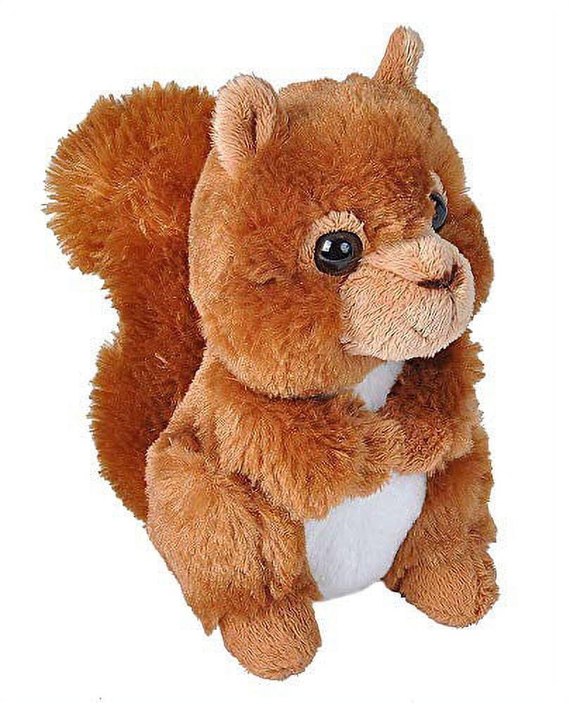 red squirrel teddy