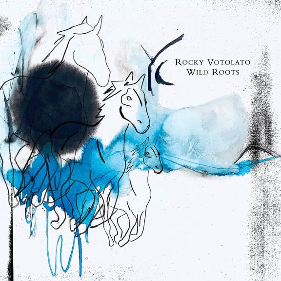 Rocky Votolato Wild Roots (CD)