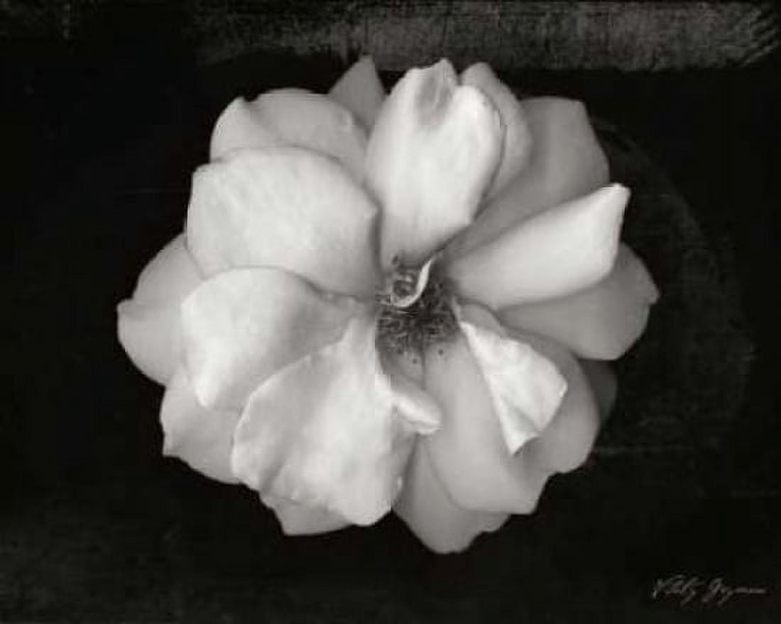 Wild Rose Canvas Art - Vitaly Geyman (24 x 30)