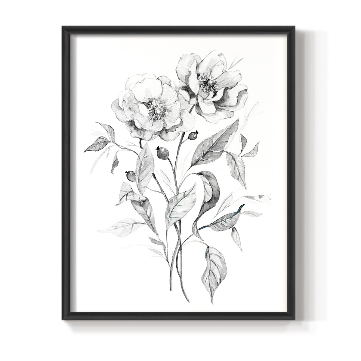 Wild Roses Sketch Framed Print in Black Solid Wood 8 x 10 Framed Print