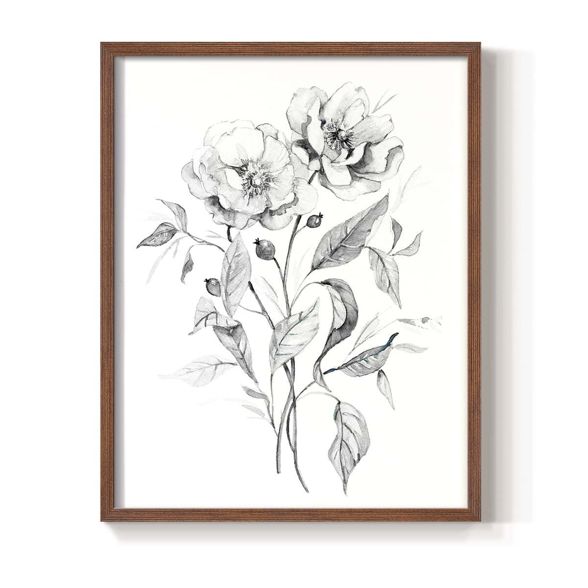 Wild Roses Sketch Framed Print in Brown Solid Wood 8 x 10 Framed Print
