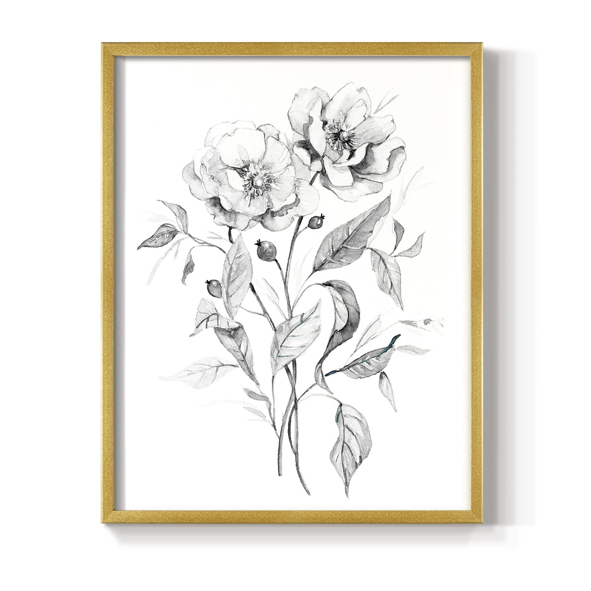 Wild Roses Sketch Framed Print in Gold Solid Wood 11 x 14 Framed Print
