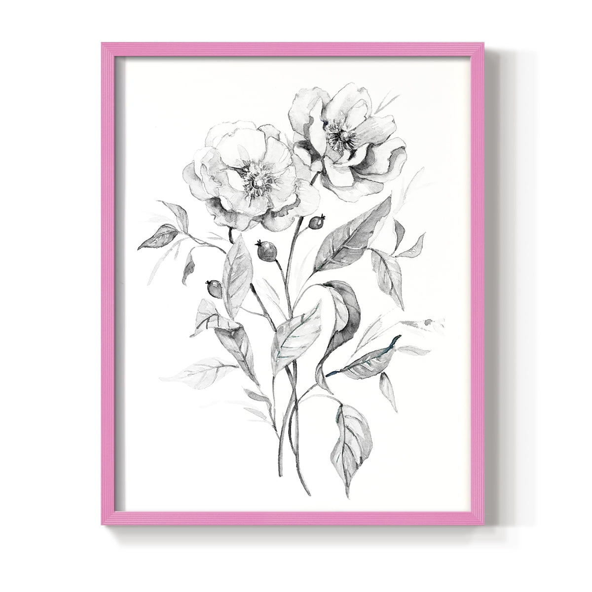 Wild Roses Sketch Framed Print in Pink Solid Wood 11 x 14 Framed Print