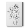 thumbnail image 1 of Wild Roses Sketch Premium Gallery Wrapped Canvas - Ready to Hang, 1 of 9