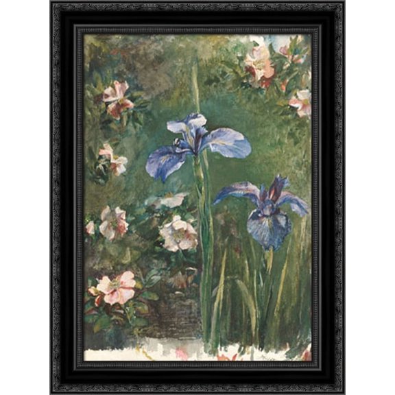 Wild Roses and Irises 20x24 Black Ornate Wood Framed Canvas Art by LaFarge, John
