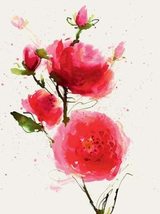 Wild Ruby Canvas Art - Summer Thornton (18 x 24)