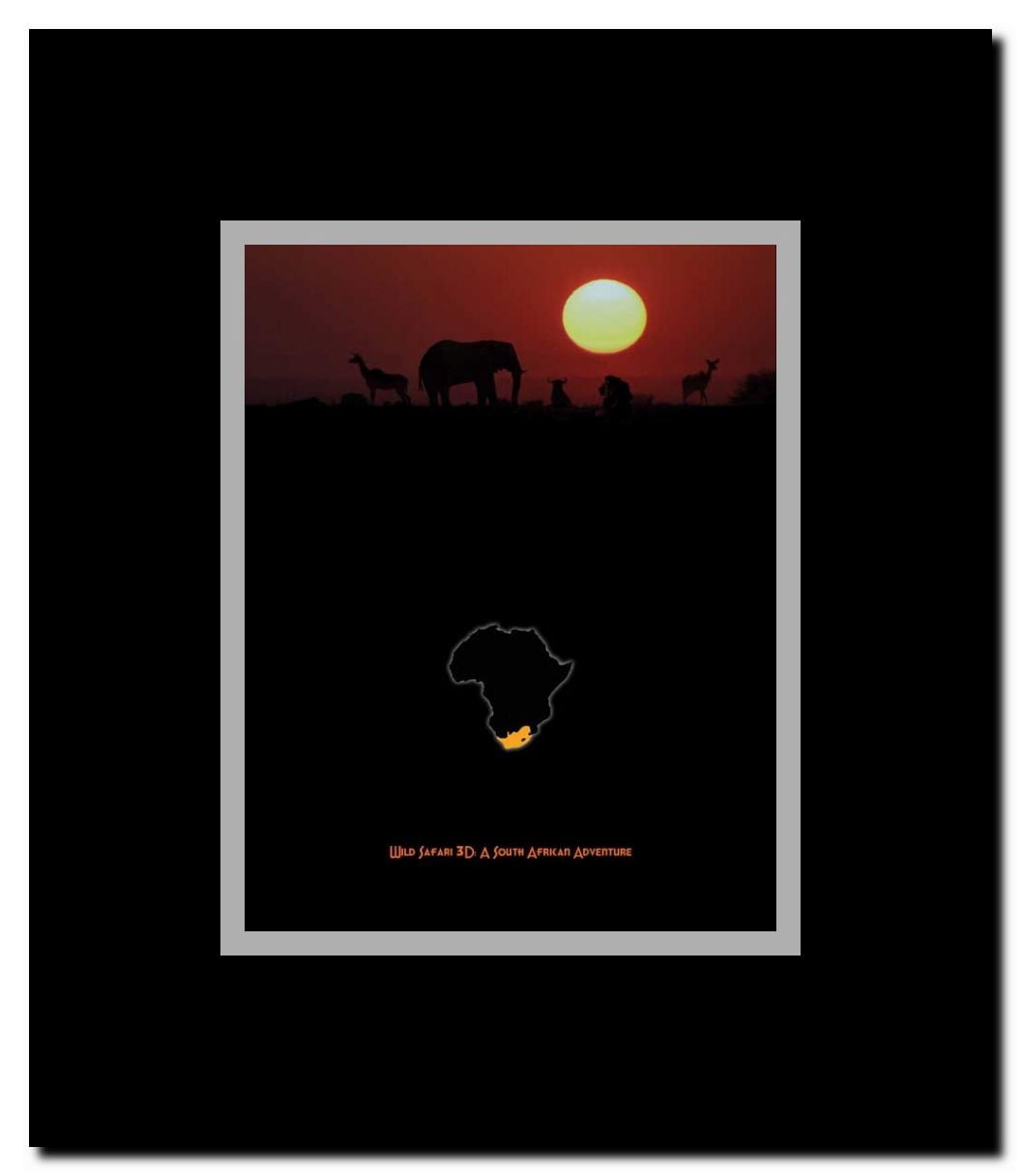 Wild Safari 3D Framed Movie Poster